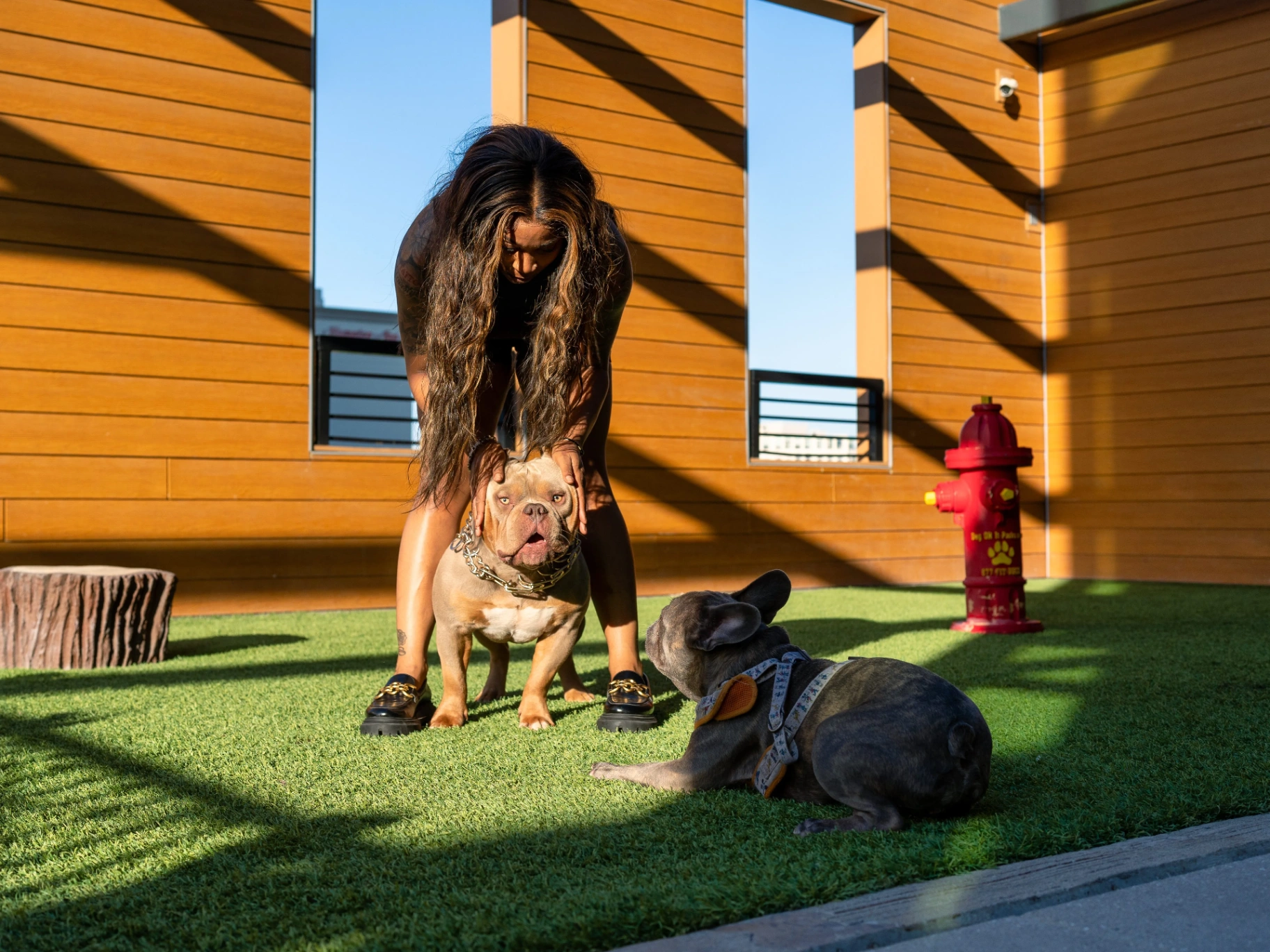 Pet & Dog Park